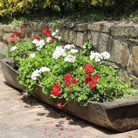 Apartman La Cotera - Barrio De Arriba Segunda Entrada 2 *