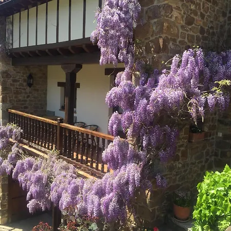 La Cotera - Barrio De Arriba Segunda Entrada 2