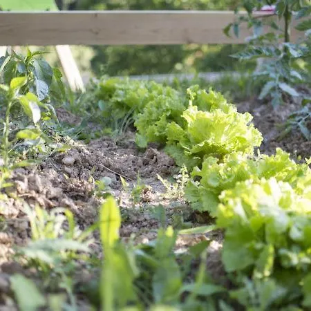 Appartement La Cotera - Barrio De Arriba Segunda Entrada 2
