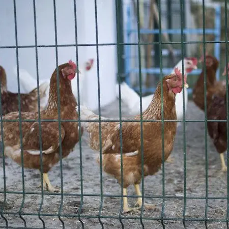 La Cotera - Barrio De Apartamento Cambarco