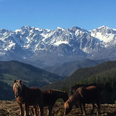 La Cotera - Barrio De Arriba Segunda Entrada 2 * Cambarco