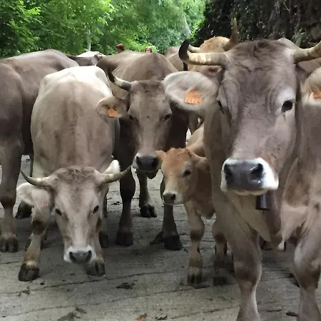 Appartement La Cotera - Barrio De Arriba Segunda Entrada 2 Cambarco