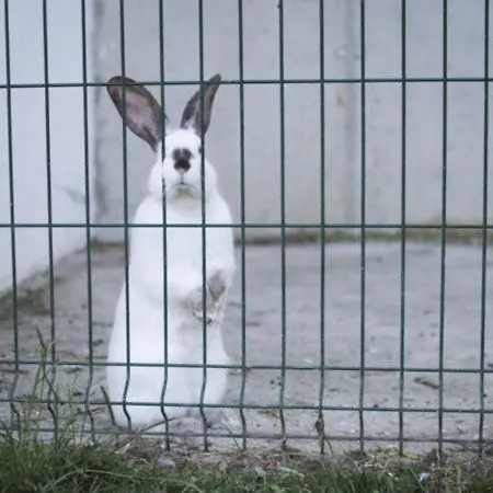 La Cotera - Barrio De Arriba Segunda Entrada 2 *