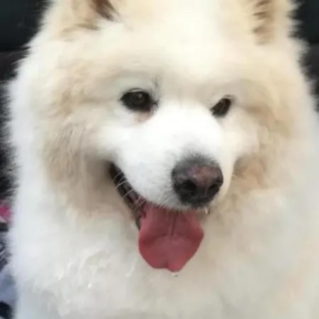 La Cotera - Barrio De Arriba Segunda Entrada 2 Cambarco