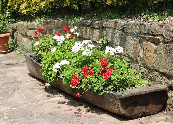 Lejlighed La Cotera - Barrio De Arriba Segunda Entrada 2 *