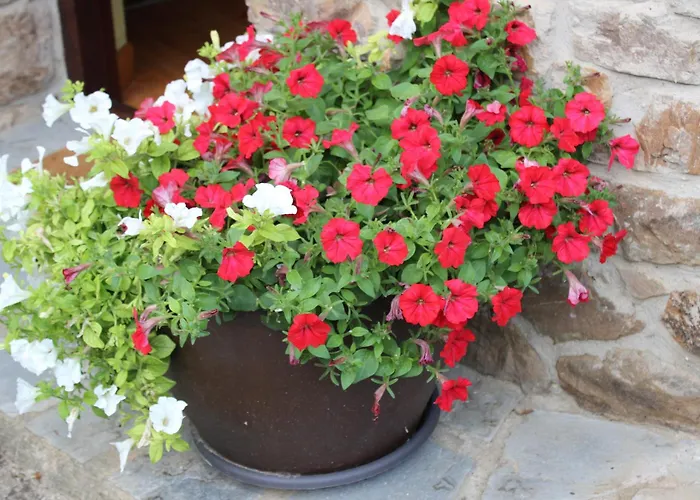 Lägenhet La Cotera - Barrio De Arriba Segunda Entrada 2