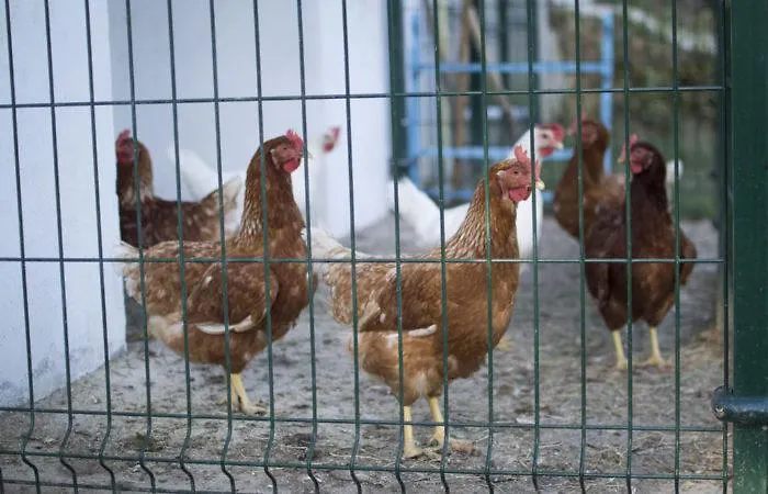 La Cotera - Barrio De Arriba Segunda Entrada 2 Lejlighed Cambarco