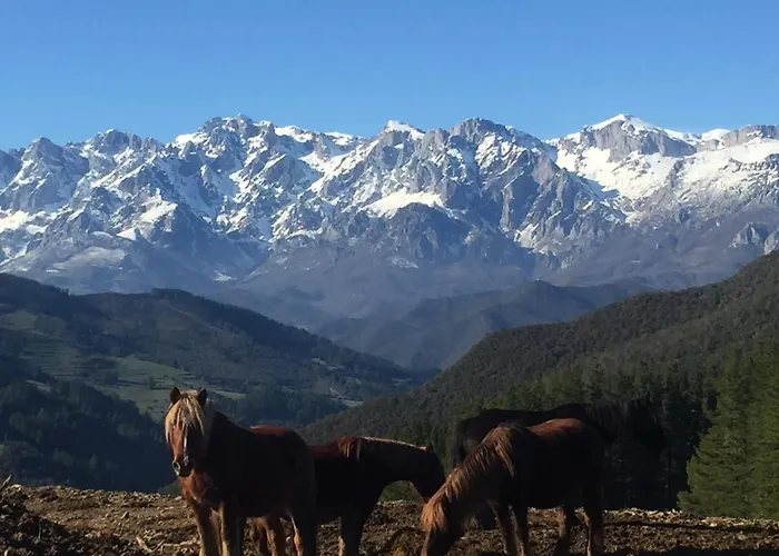 La Cotera - Barrio De Arriba Segunda Entrada 2 * Cambarco