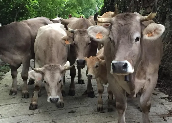 Lejlighed La Cotera - Barrio De Arriba Segunda Entrada 2 Cambarco