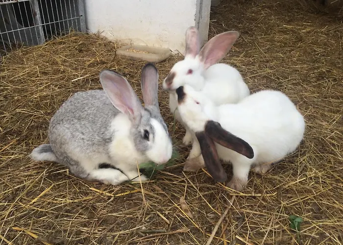 La Cotera - Barrio De Arriba Segunda Entrada 2 Lejlighed